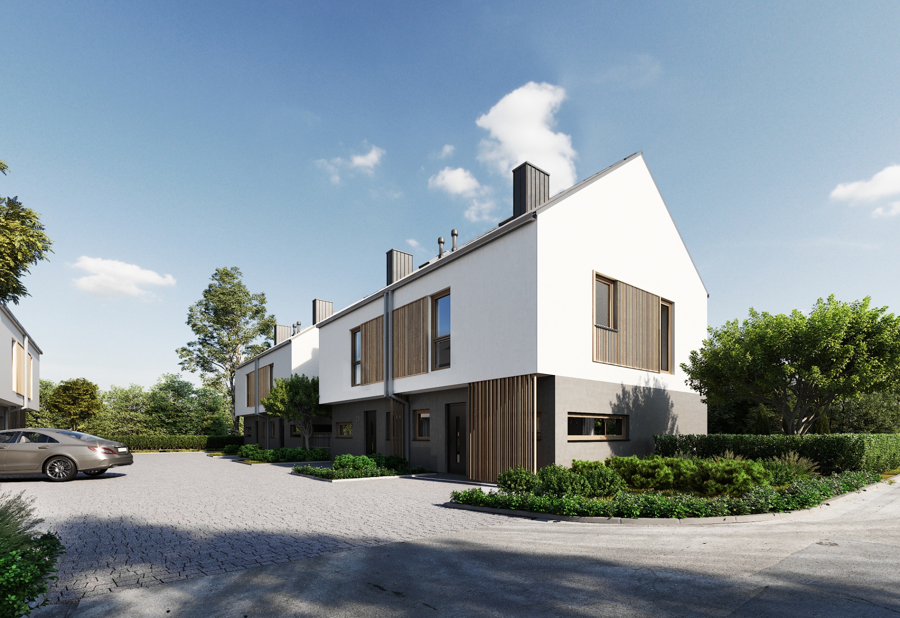 Betula Twin